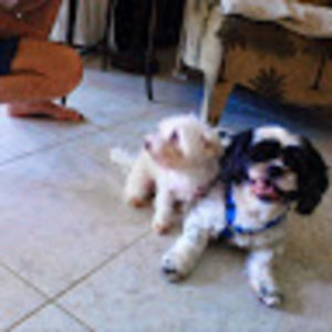 Meet your Posher, Renee'